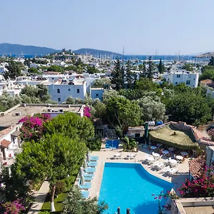 book here